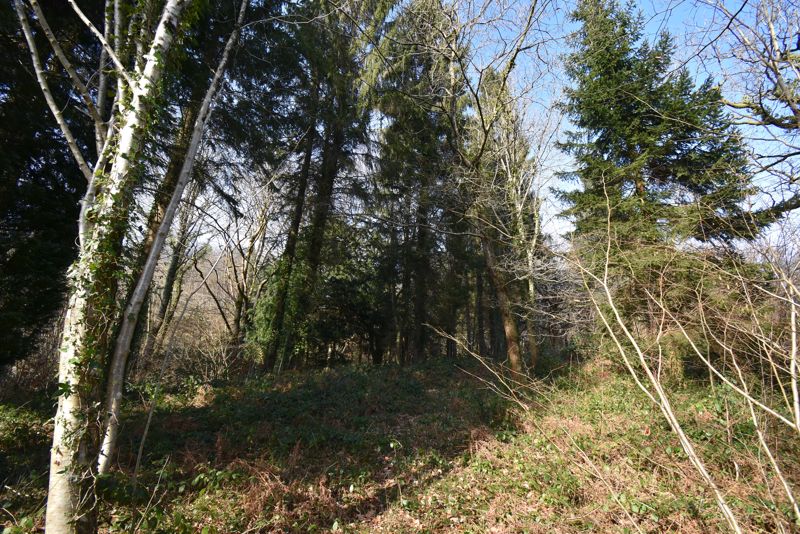 Land- click for photo gallery